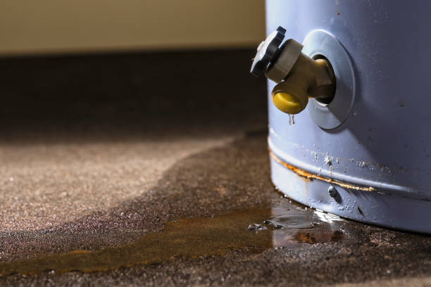 Reliable TN Water damage restoration Solutions