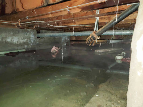 Best Ceiling water damage repair  in Decatur, TN