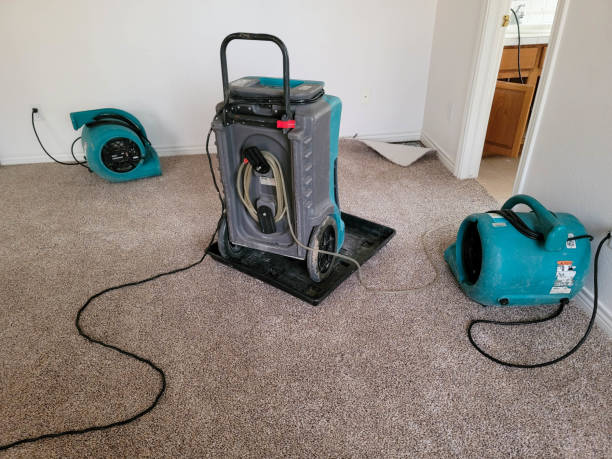Best Mold removal after water damage  in Decatur, TN