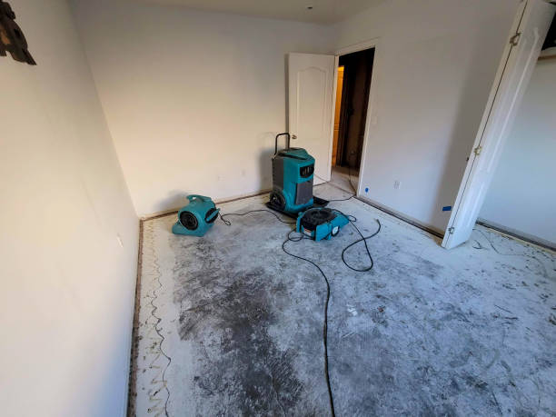 24/7 water damage repair in TN