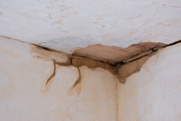 Best Sewage cleanup and water damage restoration  in Decatur, TN