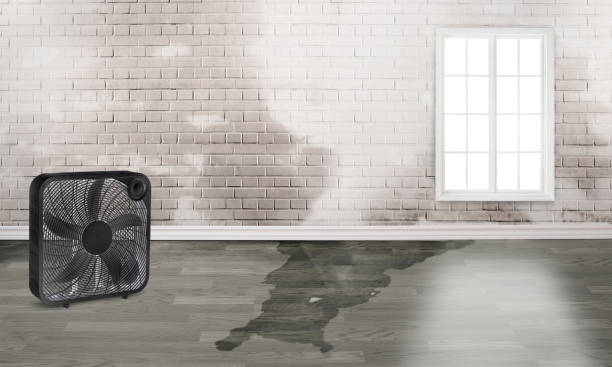 Best Emergency water damage restoration  in Decatur, TN