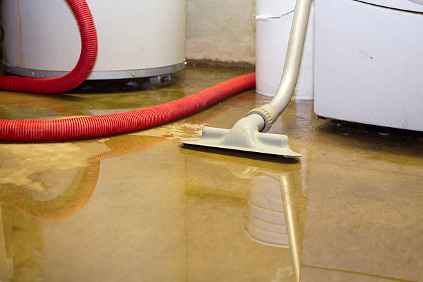 Best Water damage restoration near me  in Decatur, TN