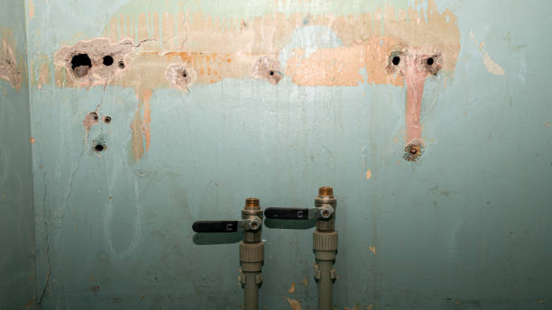 Best Ceiling water damage repair  in Decatur, TN