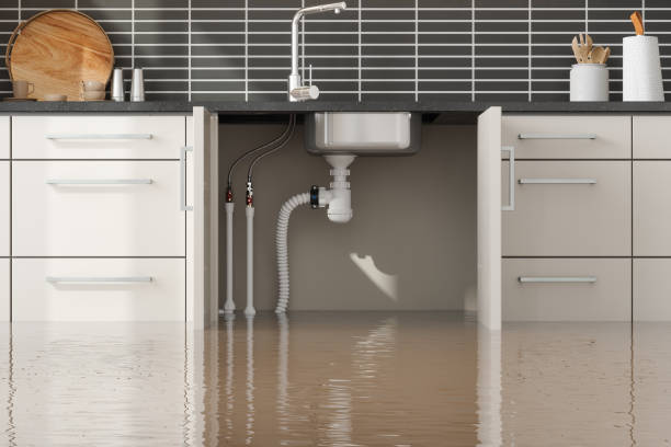 Best Mold removal after water damage  in Decatur, TN